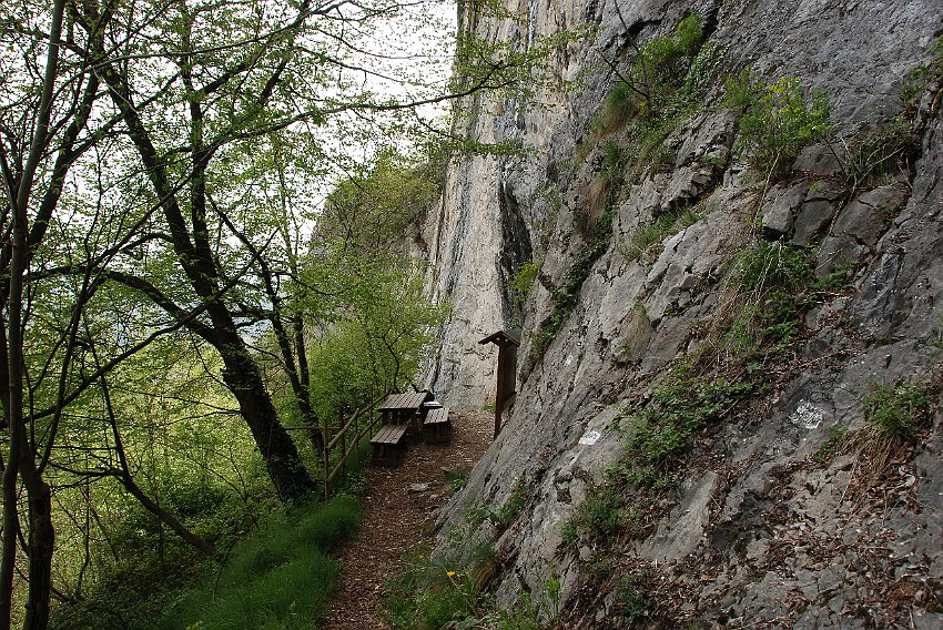 59 Falesia Sorisole.jpg